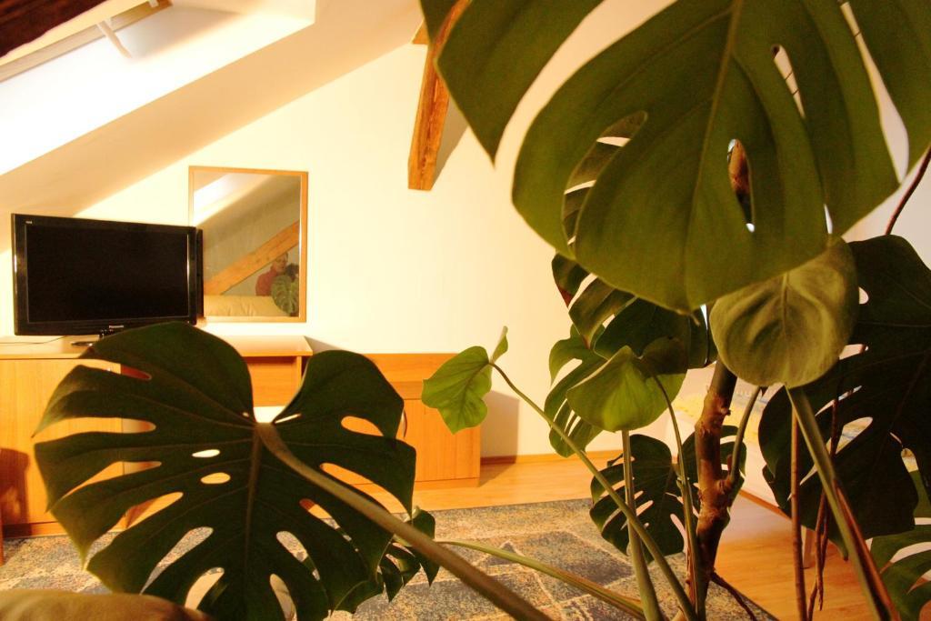 Penzion Brahama Presov Room photo